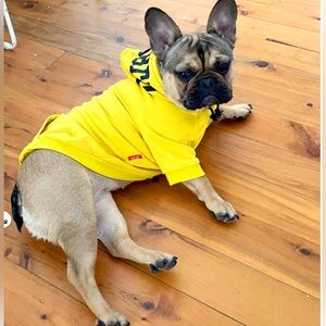 Pet Hoodies Brand new  The cutest most comfortable hoodies for your pet